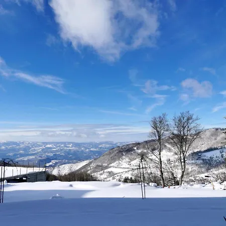 Apartment Golden Sky - Milmari &